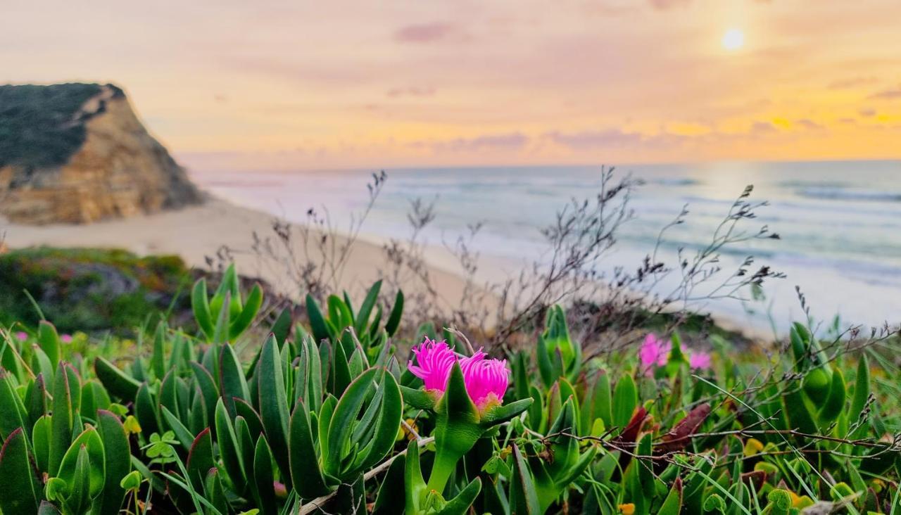 Tika Surf Camp Ericeira Ξενοδοχείο Carvoeira Εξωτερικό φωτογραφία